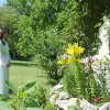 DSC02556