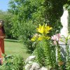 DSC02558